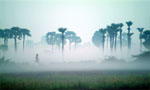 morning in araku